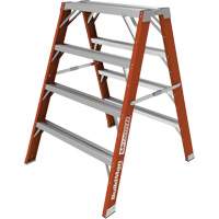 Buildman Step-up Workbench, 4' H x 36.25" W x 40.5" D, 300 lbs. Capacity, Fibreglass PB Rental Co. Ltd.