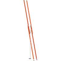 BuildMan&reg; Extension Ladder, 300 lbs. Cap., 24' H, Grade 1A PB Rental Co. Ltd.