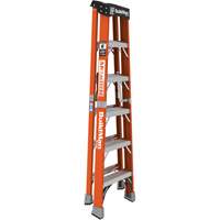 Escabeau, 6', Fibre de verre, Capacit&eacute; 375 lb, Type 1AA PB Rental Co. Ltd.
