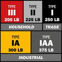 Step Ladder with Paint Tray, 10', Aluminum, 225 lbs. Capacity, Type 2 PB Rental Co. Ltd.