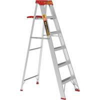 Step Ladder with Paint Tray, 6', Aluminum, 200 lbs. Capacity, Type 3 PB Rental Co. Ltd.