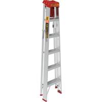 Step Ladder with Paint Tray, 6', Aluminum, 200 lbs. Capacity, Type 3 PB Rental Co. Ltd.
