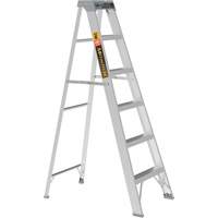 Step Ladder, 6', Aluminum, 225 lbs. Capacity, Type 2 PB Rental Co. Ltd.