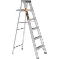 Step Ladder with Paint Tray, 6', Aluminum, 225 lbs. Capacity, Type 2 PB Rental Co. Ltd.