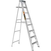 Step Ladder with Paint Tray, 8', Aluminum, 225 lbs. Capacity, Type 2 PB Rental Co. Ltd.