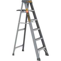 Step Ladder with Paint Tray, 6', Fibreglass, 225 lbs. Capacity, Type 2 PB Rental Co. Ltd.