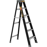 Step Ladder, 6', Fibreglass, 250 lbs. Capacity, Type 1 PB Rental Co. Ltd.