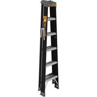 Step Ladder, 6', Fibreglass, 250 lbs. Capacity, Type 1 PB Rental Co. Ltd.