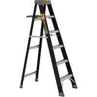 Step Ladder with Paint Tray, 6', Fibreglass, 250 lbs. Capacity, Type 1 PB Rental Co. Ltd.