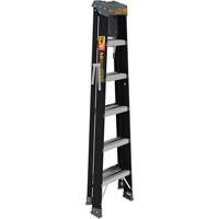 Step Ladder with Paint Tray, 6', Fibreglass, 250 lbs. Capacity, Type 1 PB Rental Co. Ltd.