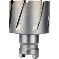 Fraise avec tenon &agrave; changement rapide Drive Hawg, Diam&egrave;tre de 2", Acier, Profondeur de la coupe de 1" PB Rental Co. Ltd.