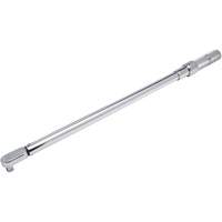 Fixed Head Micrometer Torque Wrench, Click, 1/2" Square Drive, 50-250 ft-lbs. PB Rental Co. Ltd.