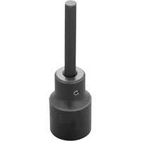 Socket Bit, Hex, 6 mm x 3-1/4" L, 1/2" Drive PB Rental Co. Ltd.