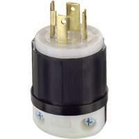 3-Pole 4-Wire Grounding Locking Plug, Nylon, 30 Amps, 125 V/250 V, L14-30P PB Rental Co. Ltd.