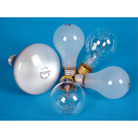 LAMPE INCANDESCENTE,25W,130V,GIVREE,2/PQT PB Rental Co. Ltd.