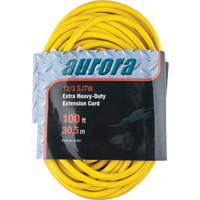 Vinyl Extension Cord, Outdoor, SJTW, 12/3 AWG, 15 A, 100' PB Rental Co. Ltd.