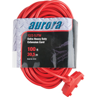 Cordon rallonge en vinyle, Ext&eacute;rieur, SJTW, AWG 12/3, 15 A, 3 prise(s), 100' PB Rental Co. Ltd.