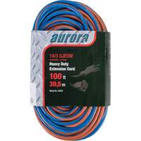 Cordon rallonge en caoutchouc TPE avec indicateur lumineux, Toutes saisons, SJEOW, AWG 14/3, 13 A, 100' PB Rental Co. Ltd.