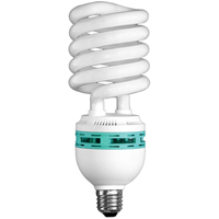 Ampoules pour lampe de travail Hang-A-Light, 105 W PB Rental Co. Ltd.