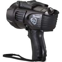 Projecteurs style pistolet Waypoint, DEL, 550 Lumens, Piles C PB Rental Co. Ltd.