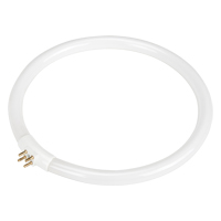 Replacement Fluorescent Bulb for Rhinomag Illuminated Magnifiers, 22 W PB Rental Co. Ltd.