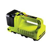 Lanterne, DEL,  Lumens, Piles C PB Rental Co. Ltd.