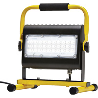 Projecteur d'illumination, DEL, 50 W, 4800 lumens, Boîtier en Aluminium PB Rental Co. Ltd.