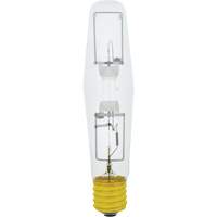 High Intensity Discharge Lamps (HID) - Metal Halide PB Rental Co. Ltd.