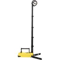 Lampes de sc&egrave;ne portables et rechargeables, DEL, 36 W, 5300 lumens, Boîtier en Plastique PB Rental Co. Ltd.