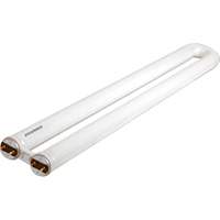 OCTRON&reg; 800 CURVALUME Fluorescent Lamps, 31 W, T8 U-Shaped, 4100 K, 22.5" Long PB Rental Co. Ltd.