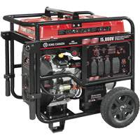 G&eacute;n&eacute;ratrice &agrave; essence &agrave; deux cylindres en V, 15 000 W de surtension, 12 500 W nominale, 120 V/240 V, R&eacute;servoir de 40 L PB Rental Co. Ltd.