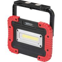 Portable Work Light, LED, 10 W, 1000 Lumens, Plastic Housing PB Rental Co. Ltd.