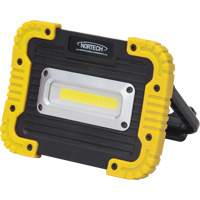 Portable Work Light, LED, 10 W, 1000 Lumens, Plastic Housing PB Rental Co. Ltd.