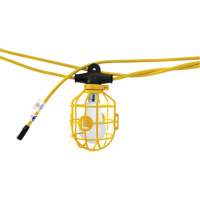 LED Bulb Stringlights, 10 Lights, 1200" L, Plastic Housing PB Rental Co. Ltd.