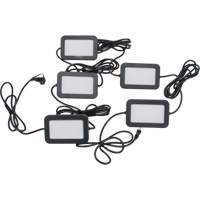 Chaîne de baladeuses DEL, 5 Lumi&egrave;res, 50' lo, Boîtier en Plastique PB Rental Co. Ltd.