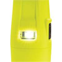Lampe de poche VLO, DEL, 280 lumens, Piles AA PB Rental Co. Ltd.