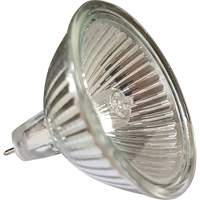 Replacement MR16 Bulb PB Rental Co. Ltd.