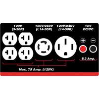 G&eacute;n&eacute;ratrice &agrave; essence/propane &agrave; d&eacute;marreur &eacute;lectrique PB Rental Co. Ltd.