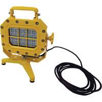 Explosion Proof Floodlight with Stand, LED, 40 W, 5600 Lumens, Aluminum Housing PB Rental Co. Ltd.