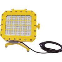 Explosion Proof Floodlight with Floor Stand, LED, 40 W, 5600 Lumens, Aluminum Housing PB Rental Co. Ltd.