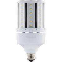 Ampoule HID de remplacement s&eacute;lectionnable ULTRA LED, E26, 18 W, 2700 lumens PB Rental Co. Ltd.