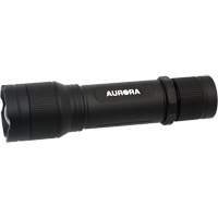 Lampe de poche IP67, DEL, 2000 lumens, Piles Rechargeable PB Rental Co. Ltd.