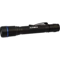 Lampe de poche IPX7, DEL, 250 lumens, Piles AA PB Rental Co. Ltd.