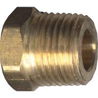 Hex Head Cored Plug, Pipe, 1/8" Dia., Brass PB Rental Co. Ltd.
