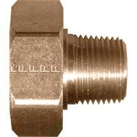 Swivel Connector, 1/2" Dia, Brass PB Rental Co. Ltd.