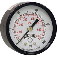 Manom&egrave;tre &eacute;conomique,  2", 0 - 160 psi, Fixation arri&egrave;re, Analogique PB Rental Co. Ltd.
